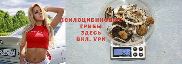 ГАЛЛЮЦИНОГЕННЫЕ ГРИБЫ Алзамай