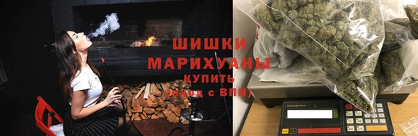ГАЛЛЮЦИНОГЕННЫЕ ГРИБЫ Алзамай