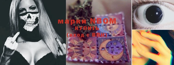 ГАЛЛЮЦИНОГЕННЫЕ ГРИБЫ Алзамай