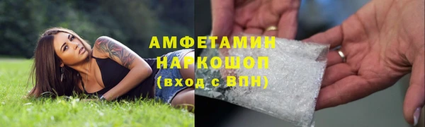 молекула духа Алексин