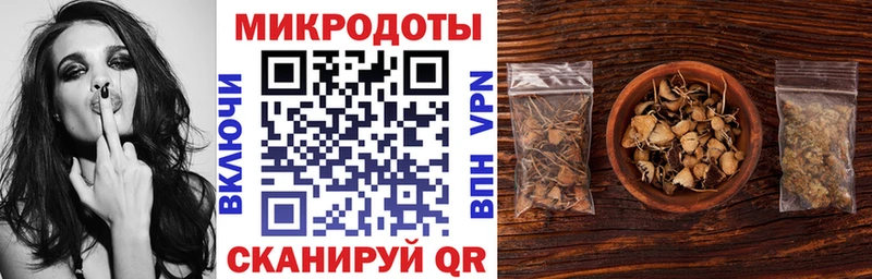 Псилоцибиновые грибы Psilocybe  Донской 