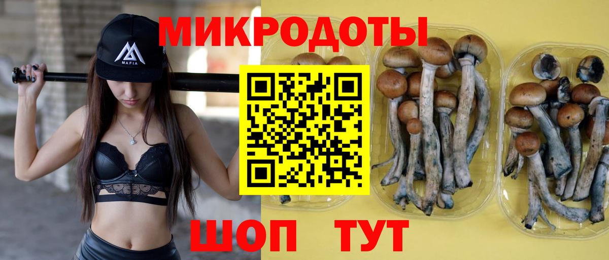 продажа наркотиков  Вход с VPN  Донской  Галлюциногенные грибы прущие грибы  Псилоцибиновые грибы MAGIC MUSHROOMS 